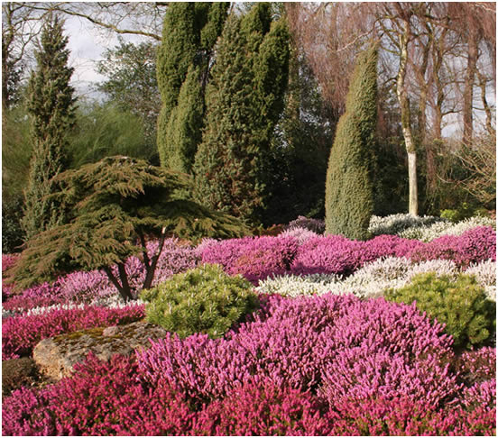 Heidegarten im Frühjahr